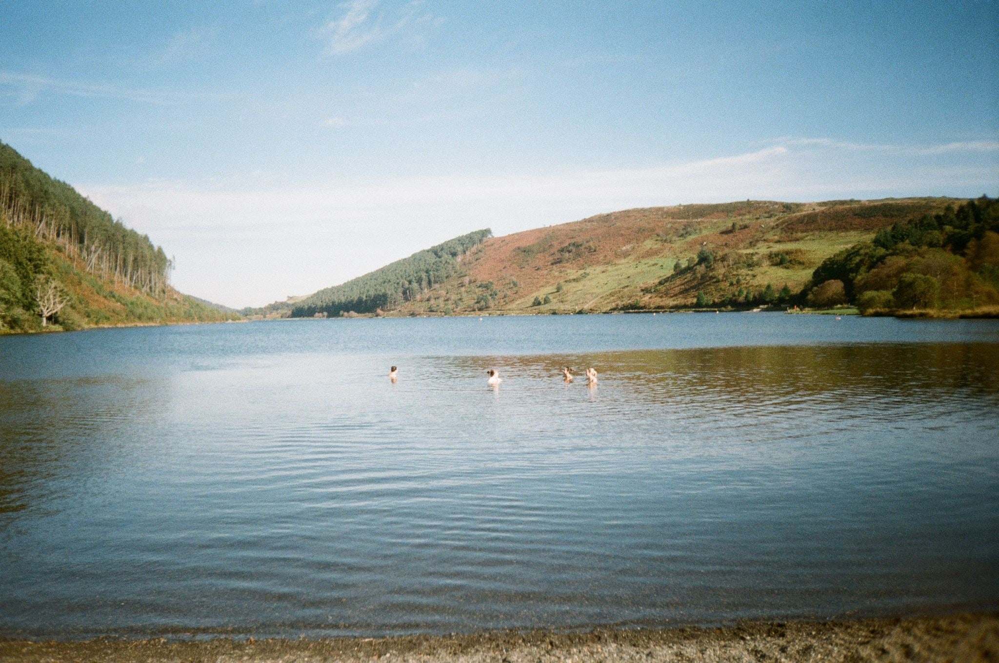 Swimmers in a wide lake under a blue sky, shot on film